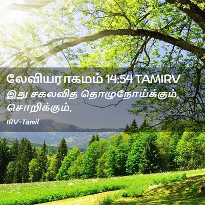 Picture 02 - லேவியராகமம் 14:54 TAMIRV - இது சகலவித - Bible Verse Picture