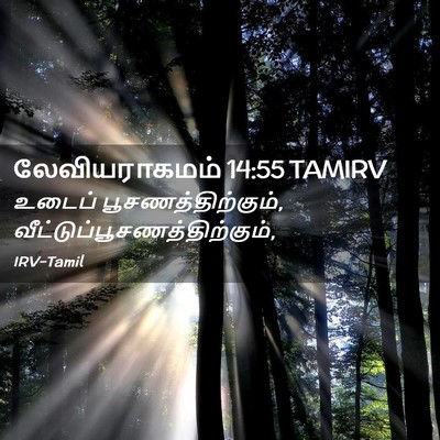 Picture 02 - லேவியராகமம் 14:55 TAMIRV - உடைப் - Bible Verse Picture