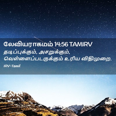 Picture 02 - லேவியராகமம் 14:56 TAMIRV - தடிப்புக்கும், - Bible Verse Picture
