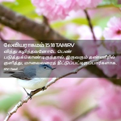 Picture 02 - லேவியராகமம் 15:18 TAMIRV - விந்து - Bible Verse Picture