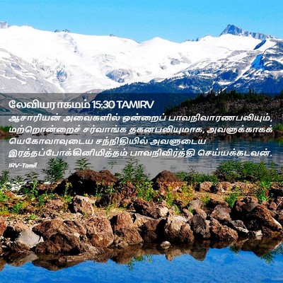Picture 02 - லேவியராகமம் 15:30 TAMIRV - ஆசாரியன் அவைகளில் - Bible Verse Picture