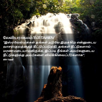 Picture 02 - லேவியராகமம் 15:31 TAMIRV - “இஸ்ரவேல் மக்கள் - Bible Verse Picture