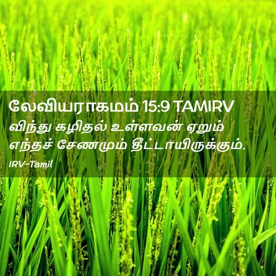 Picture 02 - லேவியராகமம் 15:9 TAMIRV - விந்து கழிதல் - Bible Verse Picture