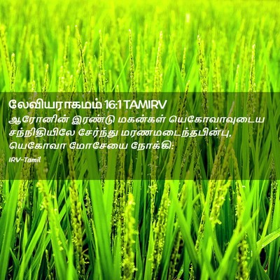 Picture 02 - லேவியராகமம் 16:1 TAMIRV - ஆரோனின் இரண்டு - Bible Verse Picture