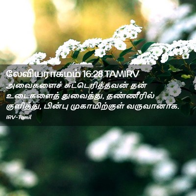Picture 02 - லேவியராகமம் 16:28 TAMIRV - அவைகளைச் - Bible Verse Picture