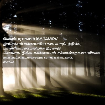 Picture 02 - லேவியராகமம் 16:5 TAMIRV - இஸ்ரவேல் - Bible Verse Picture