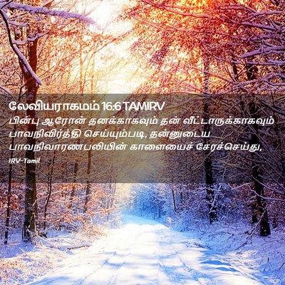 Picture 02 - லேவியராகமம் 16:6 TAMIRV - பின்பு ஆரோன் - Bible Verse Picture