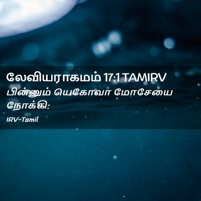 Picture 02 - லேவியராகமம் 17:1 TAMIRV - பின்னும் யெகோவா - Bible Verse Picture