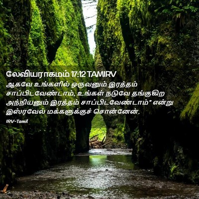 Picture 02 - லேவியராகமம் 17:12 TAMIRV - ஆகவே உங்களில் - Bible Verse Picture
