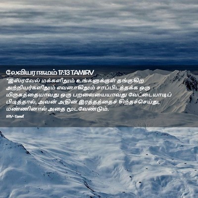 Picture 02 - லேவியராகமம் 17:13 TAMIRV - “இஸ்ரவேல் - Bible Verse Picture