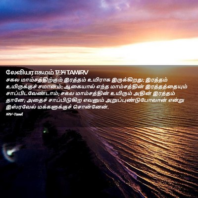 Picture 02 - லேவியராகமம் 17:14 TAMIRV - சகல - Bible Verse Picture