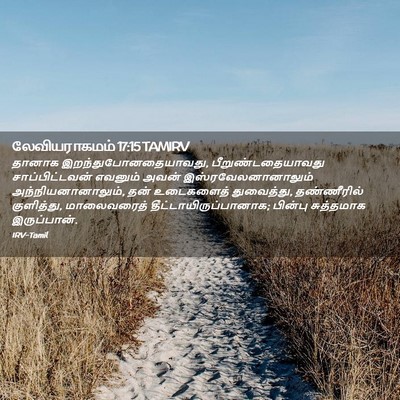 Picture 02 - லேவியராகமம் 17:15 TAMIRV - தானாக - Bible Verse Picture