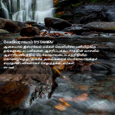 Picture 02 - லேவியராகமம் 17:5 TAMIRV - ஆகையால் இஸ்ரவேல் - Bible Verse Picture