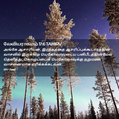 Picture 02 - லேவியராகமம் 17:6 TAMIRV - அங்கே ஆசாரியன், - Bible Verse Picture