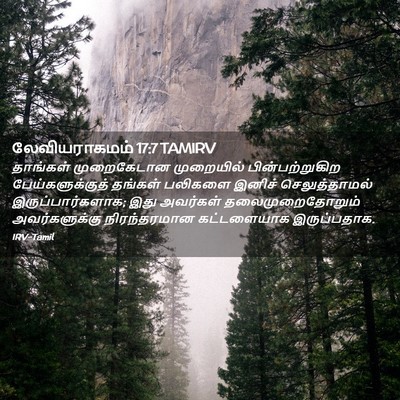Picture 02 - லேவியராகமம் 17:7 TAMIRV - தாங்கள் முறைகேடான - Bible Verse Picture