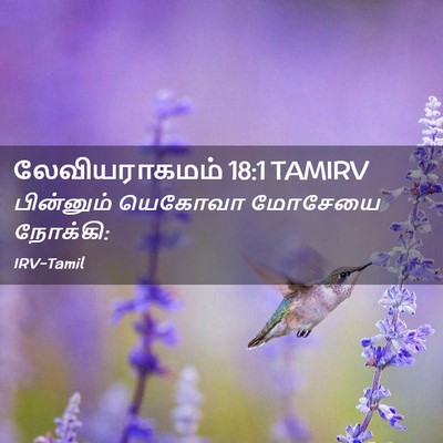 Picture 02 - லேவியராகமம் 18:1 TAMIRV - பின்னும் யெகோவா - Bible Verse Picture