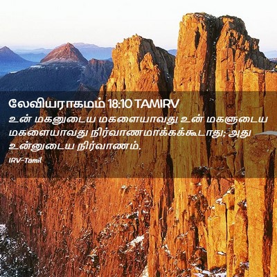 Picture 02 - லேவியராகமம் 18:10 TAMIRV - உன் மகனுடைய - Bible Verse Picture