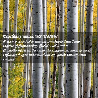 Picture 02 - லேவியராகமம் 18:21 TAMIRV - நீ உன் சந்ததியில் - Bible Verse Picture