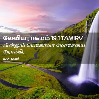 Picture 02 - லேவியராகமம் 19:1 TAMIRV - பின்னும் யெகோவா - Bible Verse Picture