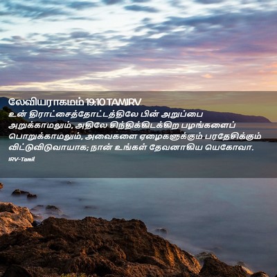 Picture 02 - லேவியராகமம் 19:10 TAMIRV - உன் - Bible Verse Picture