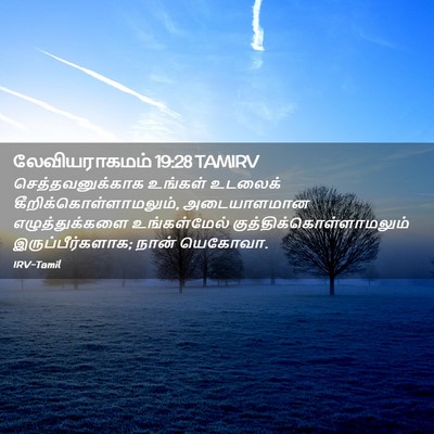 Picture 02 - லேவியராகமம் 19:28 TAMIRV - செத்தவனுக்காக - Bible Verse Picture