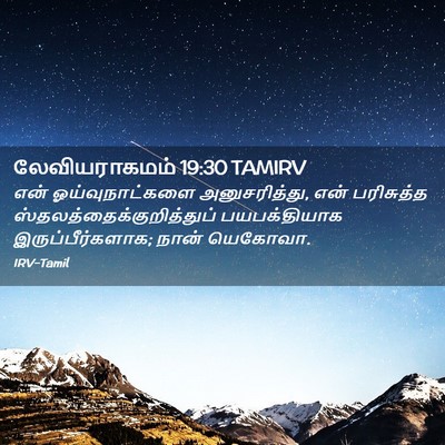 Picture 02 - லேவியராகமம் 19:30 TAMIRV - என் ஓய்வுநாட்களை - Bible Verse Picture