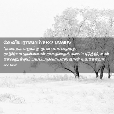 Picture 02 - லேவியராகமம் 19:32 TAMIRV - “நரைத்தவனுக்கு - Bible Verse Picture
