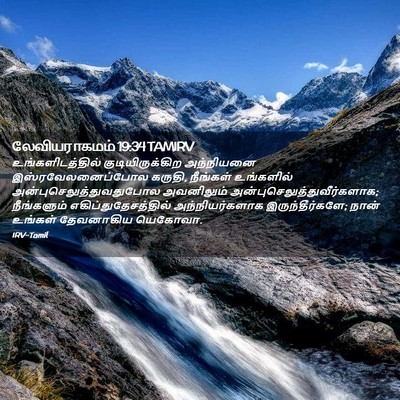 Picture 02 - லேவியராகமம் 19:34 TAMIRV - உங்களிடத்தில் - Bible Verse Picture