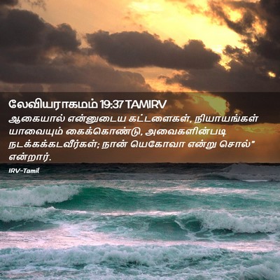 Picture 02 - லேவியராகமம் 19:37 TAMIRV - ஆகையால் என்னுடைய - Bible Verse Picture
