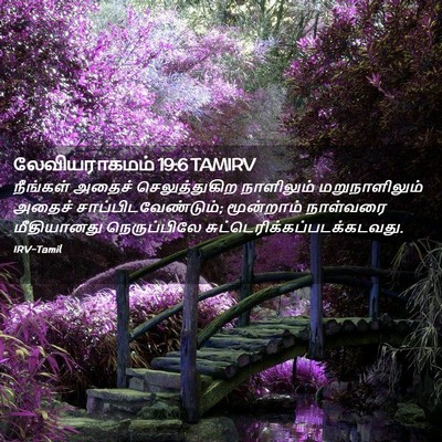 Picture 02 - லேவியராகமம் 19:6 TAMIRV - நீங்கள் அதைச் - Bible Verse Picture