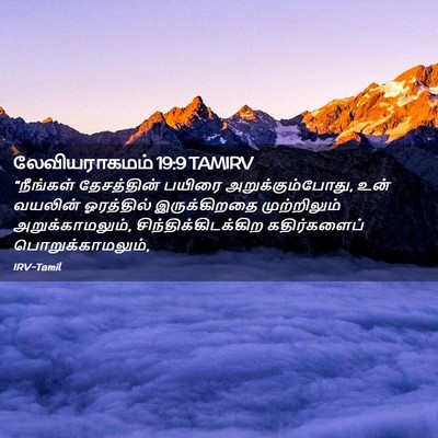 Picture 02 - லேவியராகமம் 19:9 TAMIRV - “நீங்கள் - Bible Verse Picture