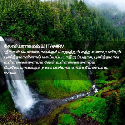 Picture 02 - லேவியராகமம் 2:11 TAMIRV - “நீங்கள் - Bible Verse Picture