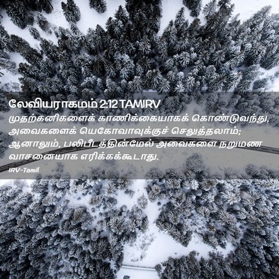 Picture 02 - லேவியராகமம் 2:12 TAMIRV - முதற்கனிகளைக் - Bible Verse Picture