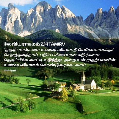 Picture 02 - லேவியராகமம் 2:14 TAMIRV - “முதற்பலன்களை - Bible Verse Picture