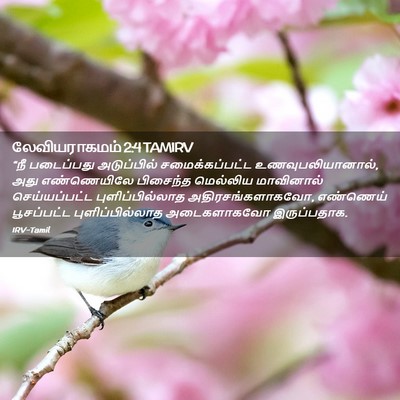Picture 02 - லேவியராகமம் 2:4 TAMIRV - “நீ படைப்பது - Bible Verse Picture