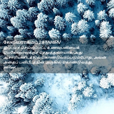 Picture 02 - லேவியராகமம் 2:8 TAMIRV - இப்படிச் - Bible Verse Picture