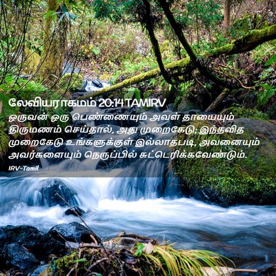 Picture 02 - லேவியராகமம் 20:14 TAMIRV - ஒருவன் ஒரு - Bible Verse Picture