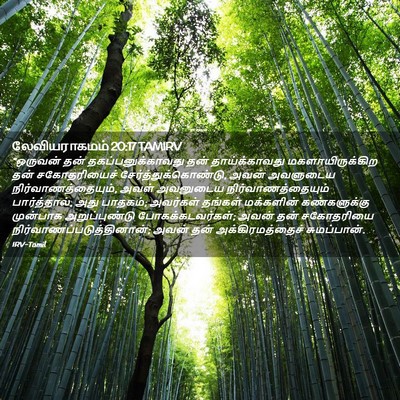 Picture 02 - லேவியராகமம் 20:17 TAMIRV - “ஒருவன் தன் - Bible Verse Picture