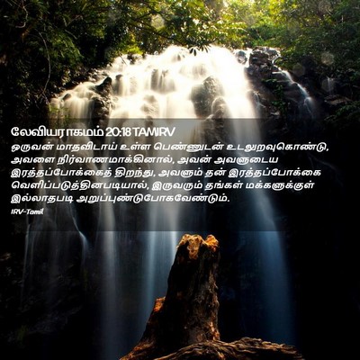 Picture 02 - லேவியராகமம் 20:18 TAMIRV - ஒருவன் மாதவிடாய் - Bible Verse Picture