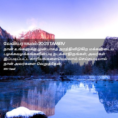 Picture 02 - லேவியராகமம் 20:23 TAMIRV - நான் உங்களுக்கு - Bible Verse Picture