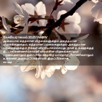 Picture 02 - லேவியராகமம் 20:25 TAMIRV - ஆகையால் சுத்தமான - Bible Verse Picture
