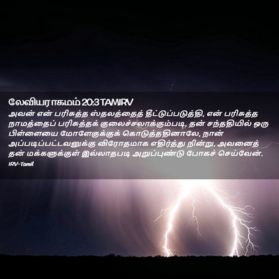 Picture 02 - லேவியராகமம் 20:3 TAMIRV - அவன் என் பரிசுத்த - Bible Verse Picture