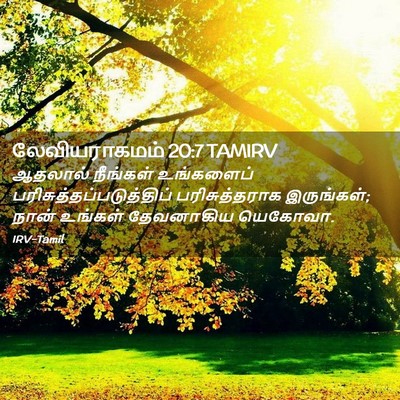 Picture 02 - லேவியராகமம் 20:7 TAMIRV - ஆதலால் நீங்கள் - Bible Verse Picture
