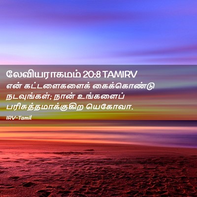Picture 02 - லேவியராகமம் 20:8 TAMIRV - என் கட்டளைகளைக் - Bible Verse Picture