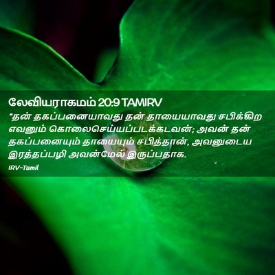 Picture 02 - லேவியராகமம் 20:9 TAMIRV - “தன் தகப்பனையாவது - Bible Verse Picture