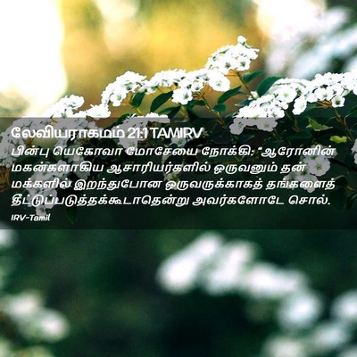 Picture 02 - லேவியராகமம் 21:1 TAMIRV - பின்பு யெகோவா - Bible Verse Picture