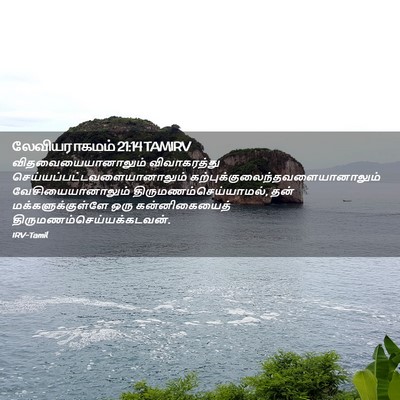 Picture 02 - லேவியராகமம் 21:14 TAMIRV - விதவையையானாலும் - Bible Verse Picture