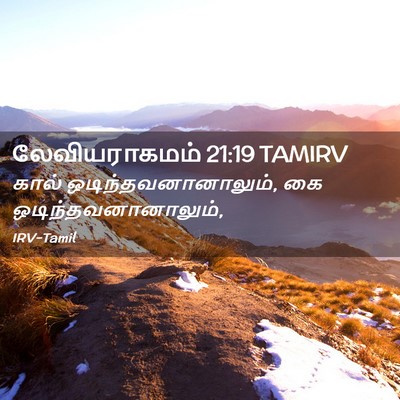 Picture 02 - லேவியராகமம் 21:19 TAMIRV - கால் - Bible Verse Picture