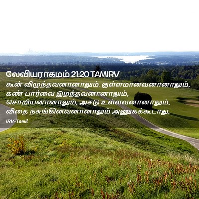 Picture 02 - லேவியராகமம் 21:20 TAMIRV - கூன் - Bible Verse Picture