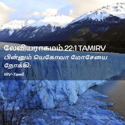 Picture 02 - லேவியராகமம் 22:1 TAMIRV - பின்னும் யெகோவா - Bible Verse Picture